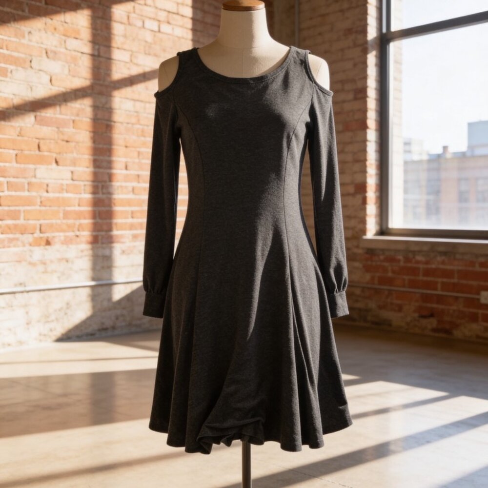 Tomsware Charcoal Gray Long Sleeve Skater Flare Dress Womens Size Small